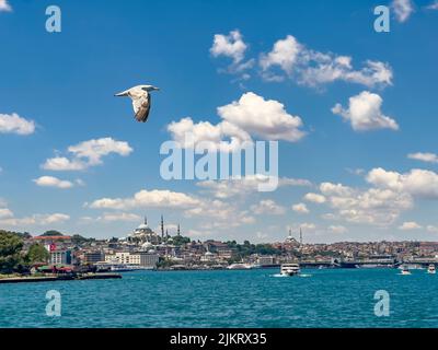 Gabbiano che vola su cielo nuvoloso blu di fronte al ponte di Galata, Yeni Cami (Nuova Moschea) e Moschea Suleymaniye in una fila. L'ingresso del Corno d'Oro. Foto Stock