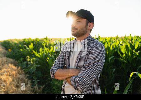 Coltivatore bearded in un cappello e una camicia a quadri sullo sfondo di un campo di mais Foto Stock