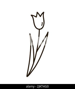 Tulipano carino con foglie isolate su sfondo bianco. Illustrazione disegnata a mano con vettore. Perfetto per carte, logo, decorazioni Illustrazione Vettoriale
