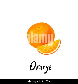 Immagine di un arancione isolato su sfondo bianco Illustrazione Vettoriale