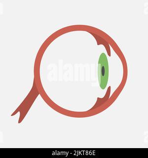 Icona occhio su sfondo bianco Illustrazione Vettoriale