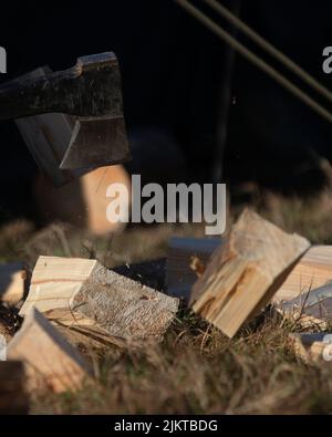 Un fuoco poco profondo di pezzi di legno spaccati tagliati sull'erba nel giardino Foto Stock