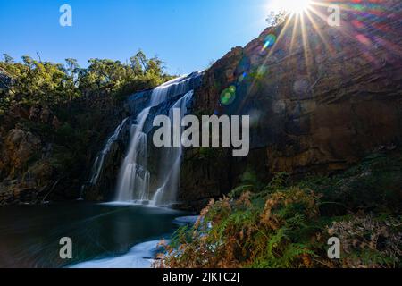 Cascata di Mackenzie e fiume Mackenzie nel Parco Nazionale di Grampians, Victoria Australia Foto Stock