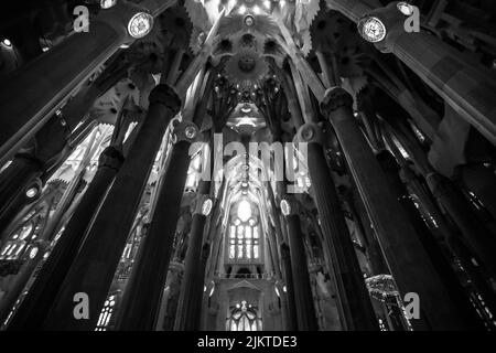 La foto monocromatica a basso angolo dell'interno della Basilica della Sagrada Familia, Barcellona, Spagna Foto Stock