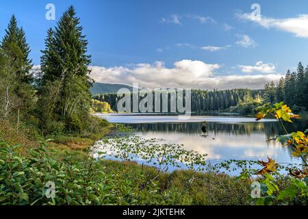 Una vista ipnotizzante di un lago tranquillo circondato da alberi in Canada Foto Stock