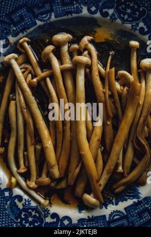 Funghi Enoki saltati con aglio, olio di sesamo, salsa di soia, cucina dell'Asia orientale su piatto giapponese bianco e blu Foto Stock