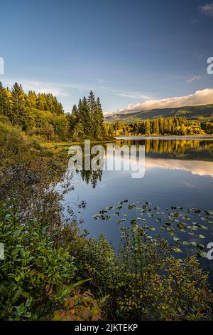 Una vista ipnotizzante di un lago tranquillo circondato da alberi in Canada Foto Stock