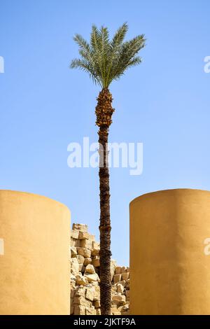 Rovine del complesso del tempio di Karnak con palme e colonne contro il cielo limpido (Tebe antiche). Luxor, Egitto. Spazio di copia. Messa a fuoco selettiva. Foto Stock