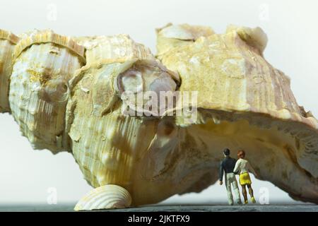 una coppia si trova sotto un gigantesco snailhouse di mare, primo piano, sfondo bianco Foto Stock