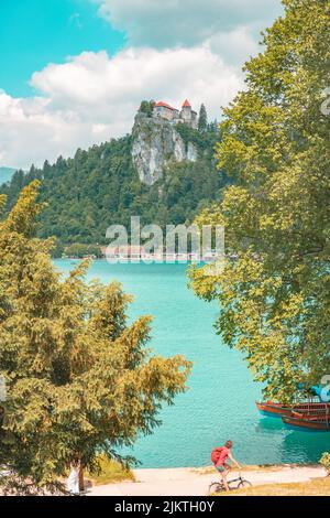 Uno scatto verticale di alcune case poste su una scogliera circondata da alberi sullo sfondo delle montagne. Foto Stock