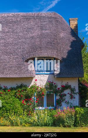 Regno Unito, Inghilterra, Cambridgeshire, Barrington, cottage tradizionale con tetto in paglia Foto Stock