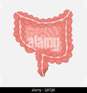 icona dello stomaco su sfondo bianco. Illustrazione Vettoriale