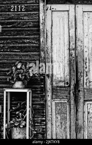 Una scala di grigi di una vecchia porta di legno usurata di una casa con vasi di fiori su uno stand di fronte Foto Stock