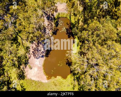 Un'immagine aerea di un piccolo lago sporco circondato da una vegetazione lussureggiante a Emmaville, Australia Foto Stock