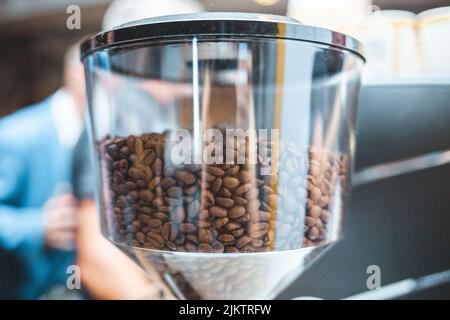 Un primo piano di chicchi di caffè in un contenitore di vetro Foto Stock