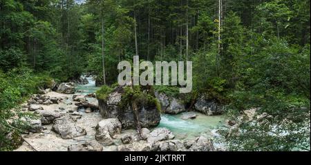 Im Zauberwald an der Ramsauer Ache Foto Stock