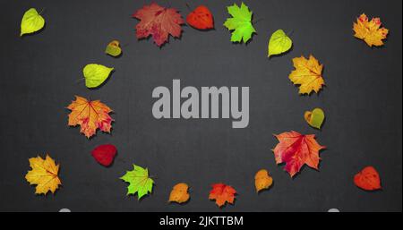 Cornice animata fatta di rotazione foglie d'autunno secco, spazio copia, felice giorno di ringraziamento concetto di fondo, sconto e vendita per questa vacanza Foto Stock