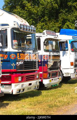 E scudiero e livrea dei figli di una cabina per camion ERF d'epoca al weston Park Classic Car Show in una fila di cabine per camion ERF classiche Foto Stock