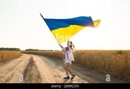 Felice ragazza Ucraina in vyshyvanka tradizionale con bandiera giallo-blu corre felicemente lungo la strada di campagna, illuminata dal sole sullo sfondo di fie di grano secco Foto Stock
