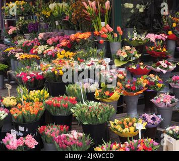 Fiori diversi in vendita di fronte ad un negozio a Vienna Foto Stock