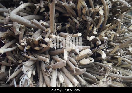 Un primo piano di un mucchio di tronchi di alberi e rami di legno tagliati a secco Foto Stock