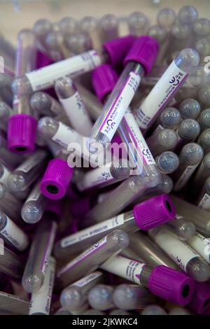 Donare il sangue in provette presso un centro di raccolta del sangue. Foto Stock