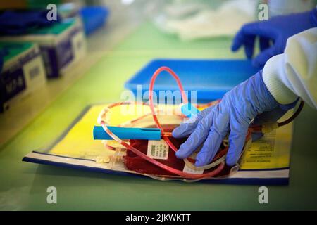 Biobank che immagazzina le cellule staminali dal sangue e dal tessuto del cordone ombelicale. Foto Stock