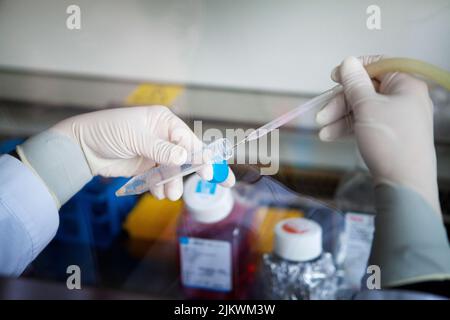 Bioprinting, una produzione artificiale di tessuti biologici che permette la medicina rigenerativa. Foto Stock