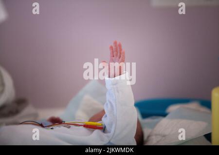 I neonati prematuri vengono tenuti sotto cura neonatale fino a quando non raggiungono il termine massimo. Foto Stock