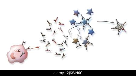 Reazione immunitaria: Distruzione del virus dell'influenza da parte degli anticorpi. Foto Stock