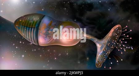 Cono, cellula fotorecettrice della retina che permette la visione notturna e diurna. Foto Stock