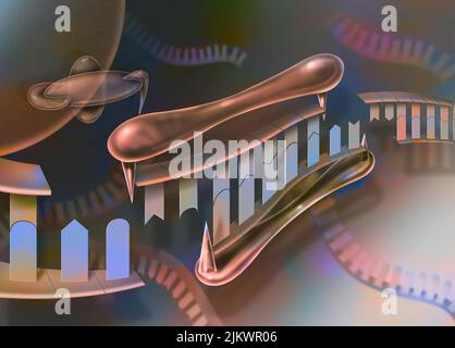 RNA interferente, fase 3: L'RNA a doppio filamento viene tagliato in frammenti nucleotidici dalla proteina Dicer. Foto Stock