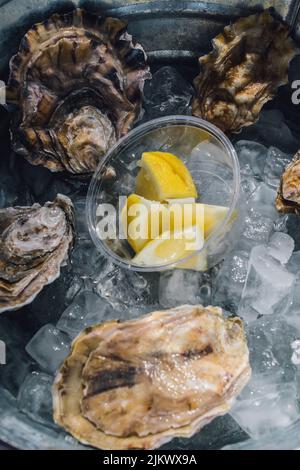 ostriche in guscio su ghiaccio con spicchi di limone presso il ristorante all'aperto Foto Stock