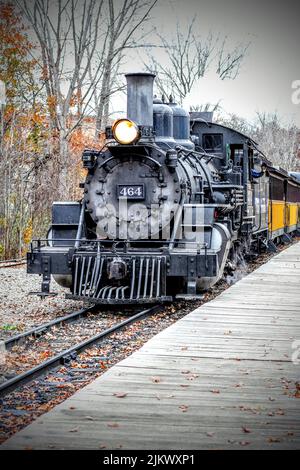 Uno scatto verticale di un treno su Huckleberry Railroad: Precedentemente Denver & Rio Grande Western, Flint, Michigan, USA Foto Stock