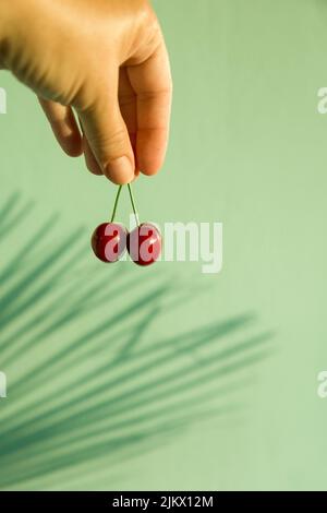 Due ciliegie rosse mature dolci sul gambo in had della donna contro la parete turquise blu verde sfocata con le ombre della foglia di palma. Estate cucina minimalista, tempo libero, t Foto Stock