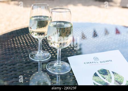 Tour e degustazione di vini di Chapel Down, Chapel Down Vineyard and Winery, Tenterden, Kent, Inghilterra, Regno Unito Foto Stock