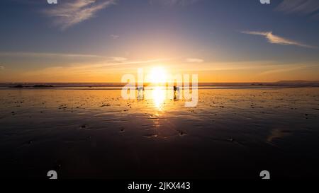 Una vista panoramica del lungomare durante il tramonto, Los Angeles, Stati Uniti Foto Stock