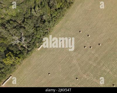 Una vista dall'alto delle balle di fieno su un campo verde vicino agli alberi in una giornata di sole Foto Stock