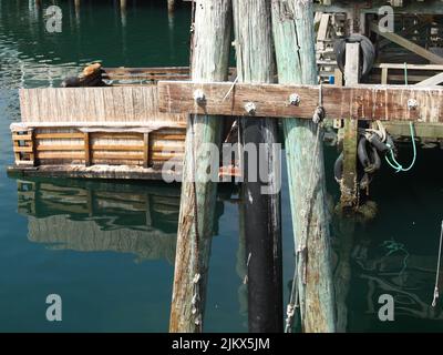 Wharf Piles - Old Fisherman's Wharf a Monterey, California Foto Stock