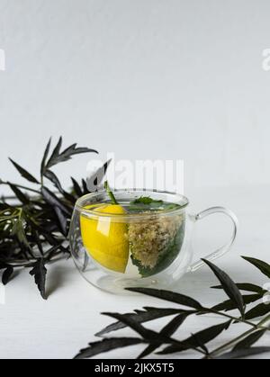 Branco di fiori di merletto nero, mazzo di limone e menta in bicchiere trasparente su sfondo bianco. Stimolante immune naturale. Ingredienti per la sua salute Foto Stock