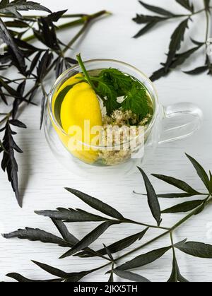 Branco di fiori di merletto nero, mazzo di limone e menta in bicchiere trasparente su sfondo bianco. Stimolante immune naturale. Ingredienti per la sua salute Foto Stock