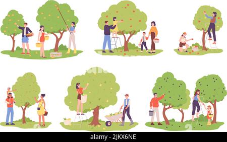 Persone che raccolgono alberi da frutto. Famiglia raccogliere frutta pucking bacche in frutteto, autunno giardino raccolto, persone su scala pick cart raccolto mele fresche, Garish vettore illustrazione di raccolto giardino Illustrazione Vettoriale