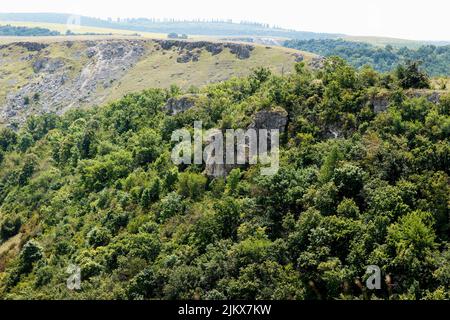 Splendida gola naturale disseminata di colline, erba e alberi. Paesaggio mozzafiato per il turismo, vista dall'alto Foto Stock