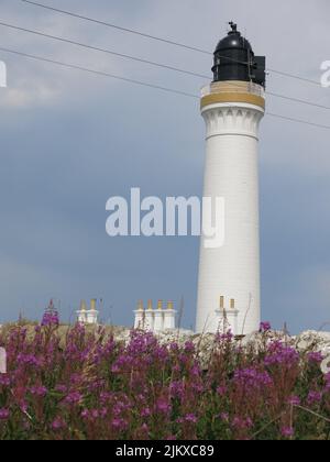 Completato nel 1846, il faro di Covesea è un punto di riferimento sulla costa del Moray Firth, circondato dalle tonalità viola di rosebay willowherb. Foto Stock