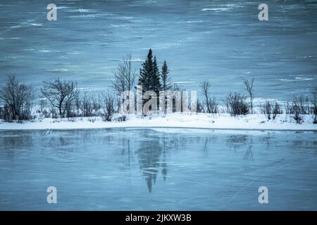 Una vista panoramica di un abete e alberi senza foglie in un campo innevato con riflessi visibili sulla superficie di un lago ghiacciato durante il giorno Foto Stock