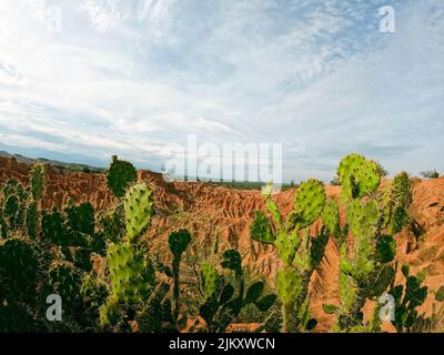 Un bellissimo scatto del deserto di Tatacoa in Colombia durante il giorno Foto Stock