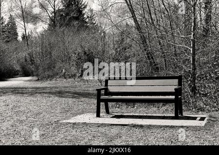 Bianco e nero, una panchina vuota del parco su un sentiero con alberi aridi dietro di esso. Foto Stock