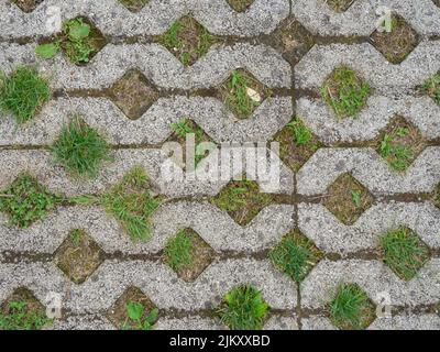 L'erba cresce attraverso le lastre di pavimentazione. Modello dal pavimento. Ponte. Vecchia muratura di mattonelle Foto Stock