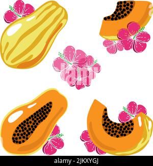 Set di papaya, elementi di doodle disegnati in stile schizzo. Papaia intera, parti, fette, fiori di nucleo e di ibisco. Raccolta di immagini di frutta. Vettore illus Illustrazione Vettoriale