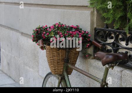 Un primo piano di un cesto splendidamente progettato con fiori rosa su una bicicletta d'epoca appoggiata sulla parete di mattoni vicino alla finestra Foto Stock